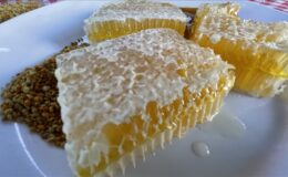 Yenice ıhlamur balı Avrupa yolcusu