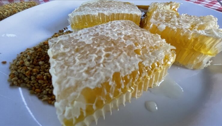 Yenice ıhlamur balı Avrupa yolcusu