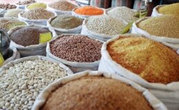 Güneydoğu’nun hububat ihracatı yılın ilk iki ayında 552,8 milyon dolara ulaştı