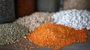 thumbs b c 91e259e78d0aee4c18b2c27e30210ef3