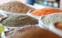 Hububat ve bakliyat ihracatında 1,9 milyar dolarlık ivme