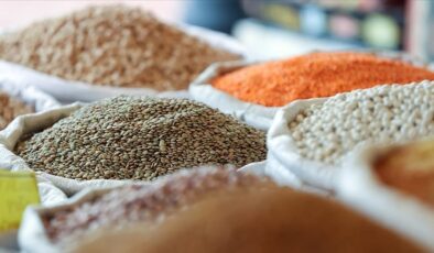 Hububat ve bakliyat ihracatında 1,9 milyar dolarlık ivme