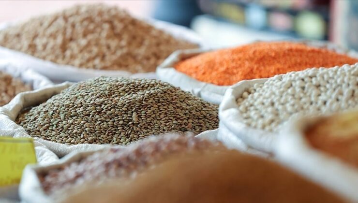 Hububat ve bakliyat ihracatında 1,9 milyar dolarlık ivme