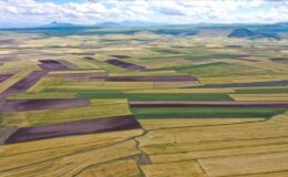 Tarlaya ev yapabilmenin olmazsa olmaz 5 temel şartı