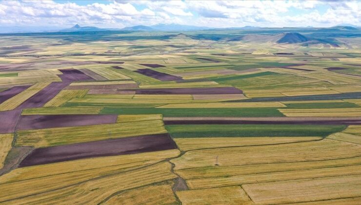 Tarlaya ev yapabilmenin olmazsa olmaz 5 temel şartı