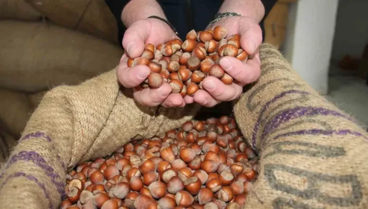 TMO’dan fındık spekülasyonuna son: Kavrulmuş ürünün fiyatı belli oldu