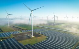 Yeşil dönüşüme 3 milyar liralık faizsiz destek