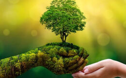 ÇEVKO Vakfı Yeşil Nokta Sanayi Ödülleri 2026 başvuruları başladı