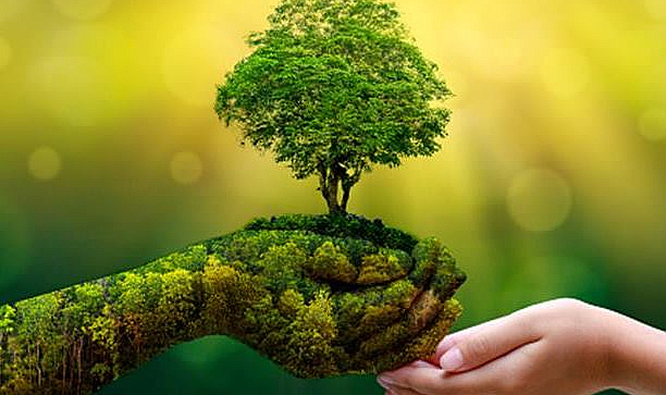 ÇEVKO Vakfı Yeşil Nokta Sanayi Ödülleri 2026 başvuruları başladı