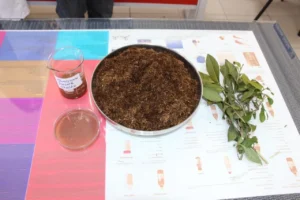 yilda 83 bin ton olusuyordu cay atigindan antibakteriyel urun gelistirildi 1777929 202603181008 20260318100818 2