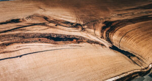 1776439725 AdobeStock 215302176