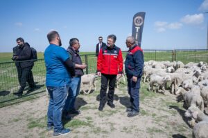 Küçükbaş hayvancılığa dev destek: Yıllık 180 bin lira ödeme yapılacak 4 410abd43338b08c5bd497d5fcacd293e