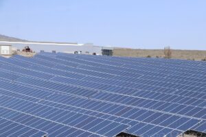 53204090043a2081212dafad297aef33