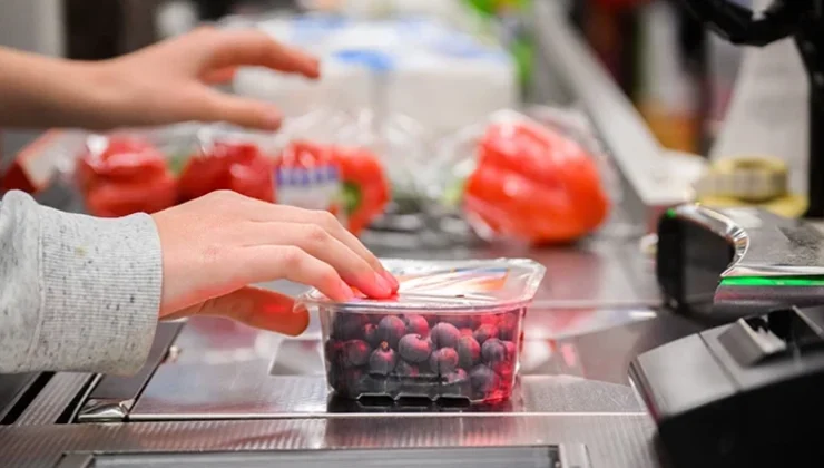 Alman sofralarında taze ürünlerin yerini dondurulmuş gıdalar aldı