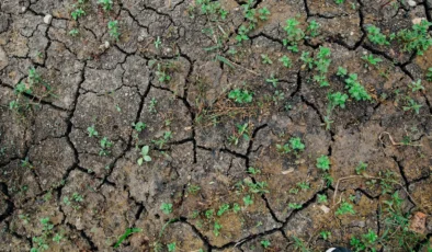 Avrupa’nın göbeğinde omega blokajı Almanya kuraklık pençesinde