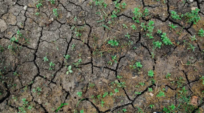 Avrupa’nın göbeğinde omega blokajı Almanya kuraklık pençesinde