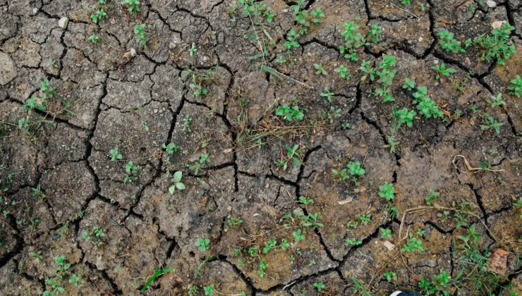 Avrupa’nın göbeğinde omega blokajı Almanya kuraklık pençesinde