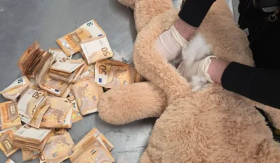 Almanya’da bir kargo merkezindeki oyuncak ayının içinden 50 bin euroluk servet çıktı