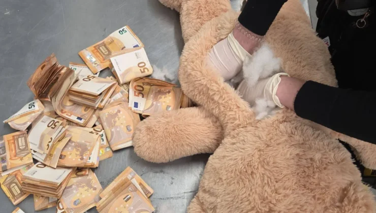 Almanya’da bir kargo merkezindeki oyuncak ayının içinden 50 bin euroluk servet çıktı