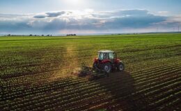 Arazi kullanımında yeni dönem: AKUP Yönetmeliği yürürlüğe girdi