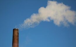 Küresel karbon pazarında CCS rüzgarı