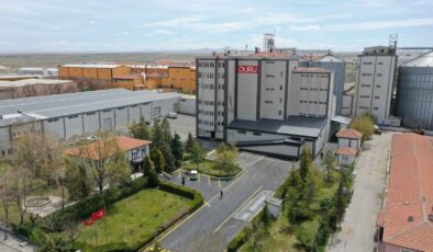 Zengen’in taşından dünya sofrasına 45 milyon dolarlık ihracat