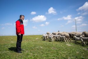 Küçükbaş hayvancılığa dev destek: Yıllık 180 bin lira ödeme yapılacak 5 a000632b689eaf85e15b424347822ee4