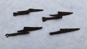 aa picture 20260417 41128155