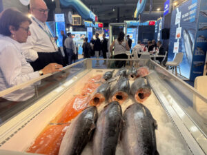 aa picture 20260423 41187863