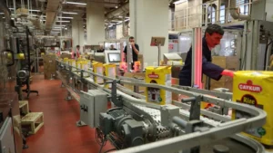 caykurda isciler icin kadro mujdesi iste basvuru sartlari 1781594 202604032001 20260403200124 1