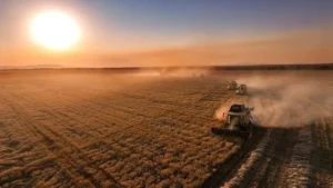 Çiftçiye 17 milyar liralık destek ödemesi başladı 3 ciftciye destek odemesi yatiyor bakanlik tarih ve saat verdi 1781572 202604031748 20260403174809 1