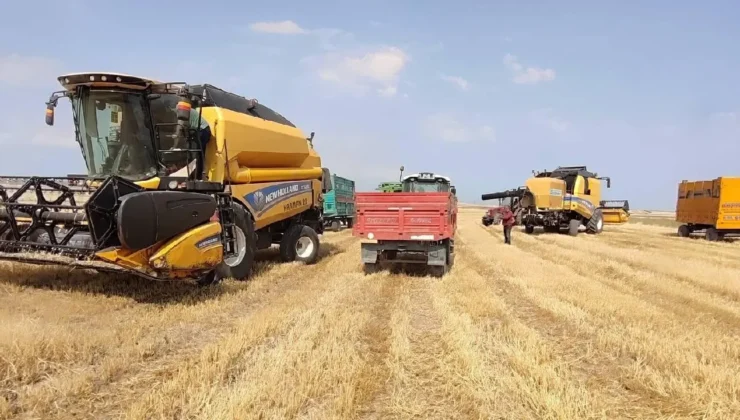 Çiftçiye 17 milyar liralık destek ödemesi başladı