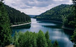 İş dünyası tarımda “doğa pozitif” dönüşüme odaklanıyor