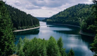 İş dünyası tarımda “doğa pozitif” dönüşüme odaklanıyor