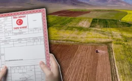 Toprak yatırımında rota değişti: Doğu ve Güneydoğu illeri enflasyonu ikiye katladı