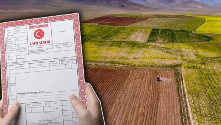 Toprak yatırımında rota değişti: Doğu ve Güneydoğu illeri enflasyonu ikiye katladı