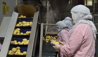 Gıda sektöründe verimlilik ve dönüşüm dönemi