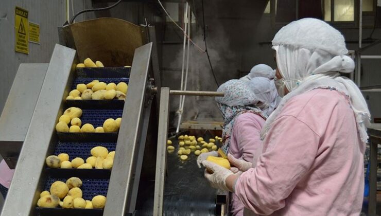 Gıda sektöründe verimlilik ve dönüşüm dönemi