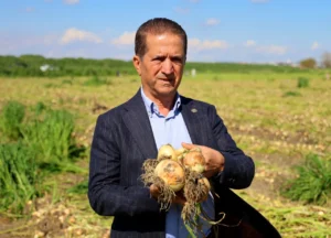 Adana'da turfanda soğan hasadı başladı 3 hasat 2 hafta gecikmeli basladi ciftci fiyatin en az 15 lira olmasini bekliyor yoksa 1783779 202604131716 20260413171630 3