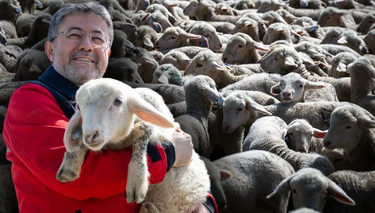 Köyüne dönene 100 hayvan, her ay 15 bin TL maaş gibi destek!