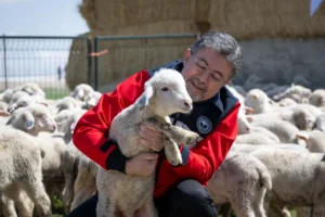 hayvanliga destek icin ureticiye 150 bin kucukbas verilecek basvuru icin son tarih 30 1784047 202604141942 20260414194249 1