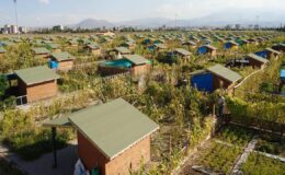 Tarım arazilerine sıkı kalkan: Hobi bahçesi ve lüks villa meselesi netleşiyor