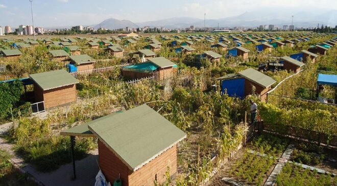 Tarım arazilerine sıkı kalkan: Hobi bahçesi ve lüks villa meselesi netleşiyor