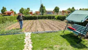 Hobi bahçelerinde yıkım tartışmasına son nokta: Cumhurbaşkanı Erdoğan’dan "orta yol" talimatı 4 kanun teklifi kabul edildi hobi bahceleri yikilacak mi 1780437 202603300845 20260330084557 3