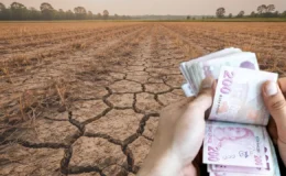 Kuraklıktan etkilenen çiftçinin zararı tohum desteğiyle kapanacak