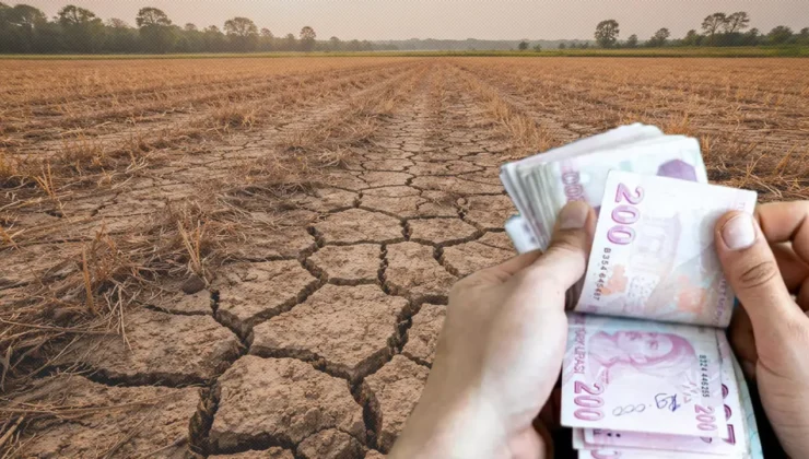 Kuraklıktan etkilenen çiftçinin zararı tohum desteğiyle kapanacak