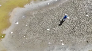 kurakliktan etkilenen ciftciye mujde ankaradan geldi tum zararlari devlet karsilayaca 1781394 202604022318 20260402231834 3