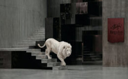 Küresel otel zincirlerinin “güvenli limanı” Türkiye