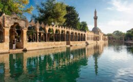 Türkiye Kültür Yolu Festivali Şanlıurfa’da başladı