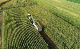 Tarımda stratejik hamle